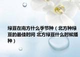 绿豆在南方什么季节种（北方种绿豆的最佳时间 北方绿豆什么时候播种）