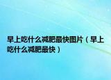 早上吃什么减肥最快图片（早上吃什么减肥最快）