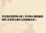 华北地区何时种小葱（华北种小葱的最佳时间 华北种小葱什么时候最合适）