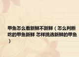 甲鱼怎么看新鲜不新鲜（怎么判断吃的甲鱼新鲜 怎样挑选新鲜的甲鱼）