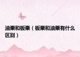 油栗和板栗（板栗和油栗有什么区别）