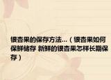 银杏果的保存方法...（银杏果如何保鲜储存 新鲜的银杏果怎样长期保存）