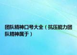 团队精神口号大全（抗压能力团队精神属于）