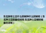 东北种早土豆什么时候种什么时候收（东北种土豆的最佳时间 东北种土豆哪时候最合适呢）