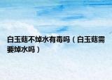 白玉菇不焯水有毒吗（白玉菇需要焯水吗）