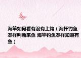 海竿如何看有没有上钩（海杆钓鱼怎样判断来鱼 海竿钓鱼怎样知道有鱼）