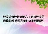 种姜适合种什么地方（庭院种姜的最佳时间 庭院种姜什么时候最好）