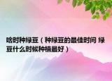 啥时种绿豆（种绿豆的最佳时间 绿豆什么时候种植最好）