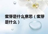 蜜芽是什么意思（蜜芽是什么）