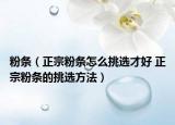 粉条（正宗粉条怎么挑选才好 正宗粉条的挑选方法）