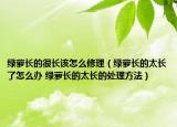 绿萝长的很长该怎么修理（绿萝长的太长了怎么办 绿萝长的太长的处理方法）