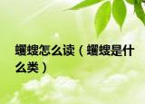蠼螋怎么读（蠼螋是什么类）