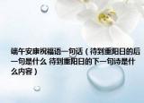端午安康祝福语一句话（待到重阳日的后一句是什么 待到重阳日的下一句诗是什么内容）
