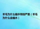 羊毛为什么缩水特别严重（羊毛为什么会缩水）