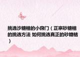 挑选沙糖桔的小窍门（正宗砂糖桔的挑选方法 如何挑选真正的砂糖桔）