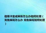 信用卡变成呆账怎么办如何处理（龙鱼掉尾怎么办 龙鱼掉尾如何处理）