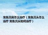 龙鱼沉底怎么治疗（龙鱼沉头怎么治疗 龙鱼沉头如何治疗）