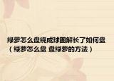 绿萝怎么盘绕成球图解长了如何盘（绿萝怎么盘 盘绿萝的方法）