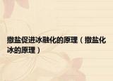 撒盐促进冰融化的原理（撒盐化冰的原理）