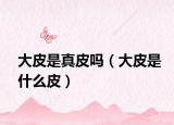 大皮是真皮吗（大皮是什么皮）