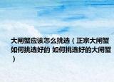 大闸蟹应该怎么挑选（正宗大闸蟹如何挑选好的 如何挑选好的大闸蟹）