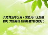 六角龙鱼怎么养（龙鱼用什么颜色的灯 龙鱼用什么颜色的灯比较好）