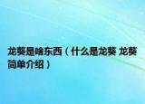 龙葵是啥东西（什么是龙葵 龙葵简单介绍）