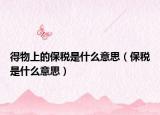 得物上的保税是什么意思（保税是什么意思）