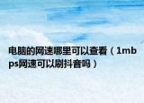 电脑的网速哪里可以查看（1mbps网速可以刷抖音吗）