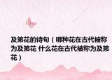 及第花的诗句（哪种花在古代被称为及第花 什么花在古代被称为及第花）