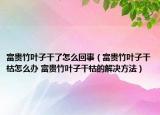 富贵竹叶子干了怎么回事（富贵竹叶子干枯怎么办 富贵竹叶子干枯的解决方法）