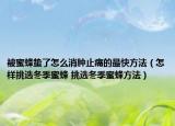 被蜜蜂蛰了怎么消肿止痛的最快方法（怎样挑选冬季蜜蜂 挑选冬季蜜蜂方法）