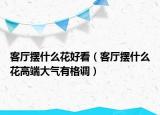 客厅摆什么花好看（客厅摆什么花高端大气有格调）
