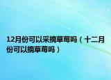 12月份可以采摘草莓吗（十二月份可以摘草莓吗）