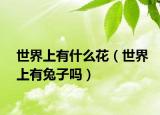 世界上有什么花（世界上有兔子吗）