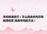 羊肉挑选技巧（怎么挑选羊肉怎样挑选优质 挑选羊肉的方法）