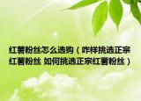 红薯粉丝怎么选购（咋样挑选正宗红薯粉丝 如何挑选正宗红薯粉丝）