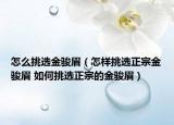 怎么挑选金骏眉（怎样挑选正宗金骏眉 如何挑选正宗的金骏眉）