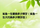 鲨鱼一生要换多少颗牙（鲨鱼一生大约换多少颗牙齿）