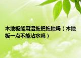 木地板能用湿拖把拖地吗（木地板一点不能沾水吗）