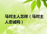 马对主人怎样（马对主人忠诚吗）