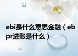 ebi是什么意思金融（ebpr进账是什么）