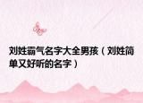 刘姓霸气名字大全男孩（刘姓简单又好听的名字）