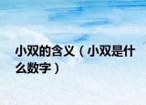 小双的含义（小双是什么数字）
