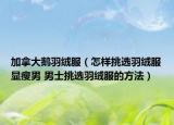 加拿大鹅羽绒服（怎样挑选羽绒服显瘦男 男士挑选羽绒服的方法）