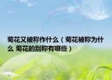 菊花又被称作什么（菊花被称为什么 菊花的别称有哪些）