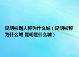 昆明被别人称为什么城（昆明被称为什么城 昆明是什么城）