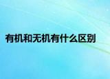 有机和无机有什么区别