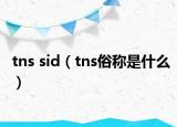 tns sid（tns俗称是什么）
