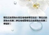 樱花庄的宠物女孩在线观看樱花动漫（樱花庄的宠物女孩第二季在线观看樱花庄的宠物女孩第二季解析）